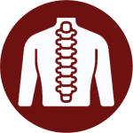 1743571342_Spine Icon.png